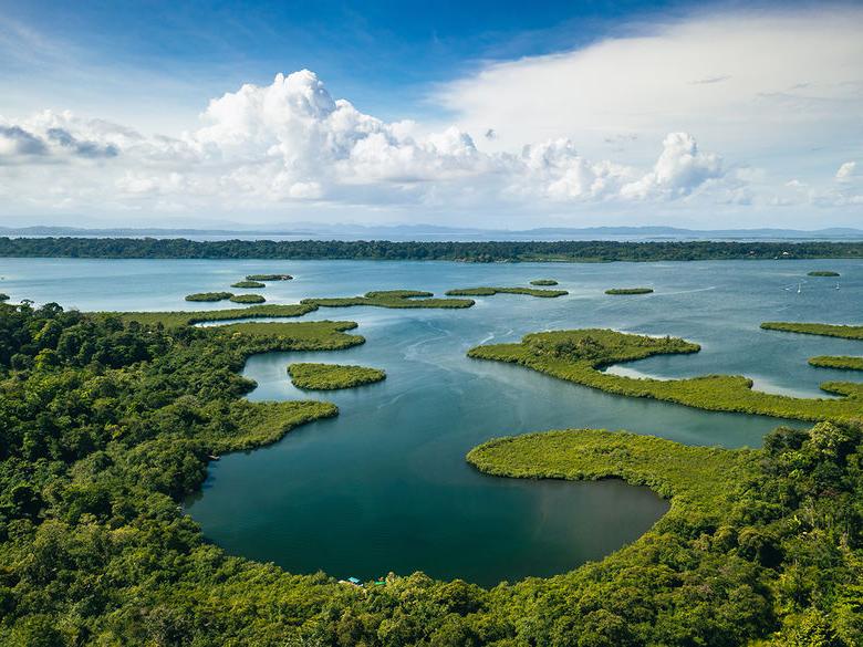 巴拿马.Tropical Island Aerial View. Wild coastline lush exotic green jungle. Red Frog Beach in Bastimentos Island, Bocas del Toro, Central America, 巴拿马.